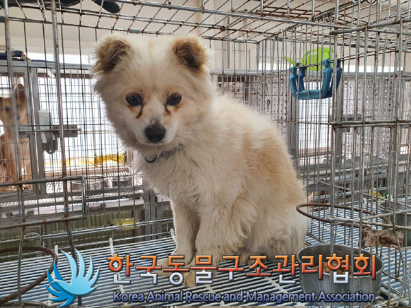 한국동물구조관리협회_441560202300515